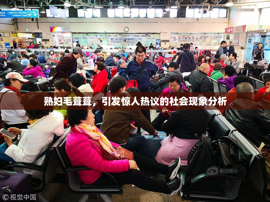 熟妇毛葺葺，引发惊人热议的社会现象分析