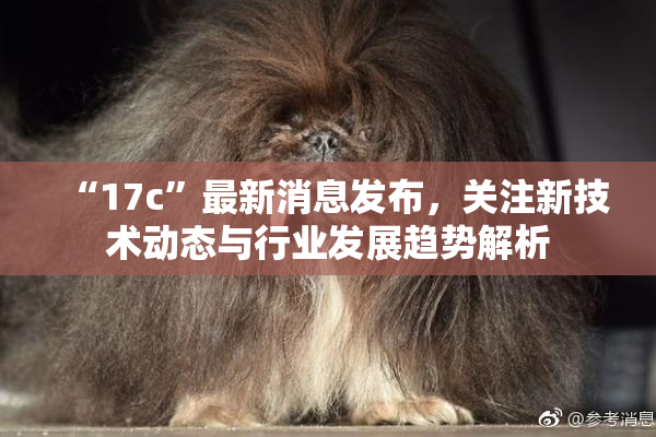 “17c”最新消息发布，关注新技术动态与行业发展趋势解析