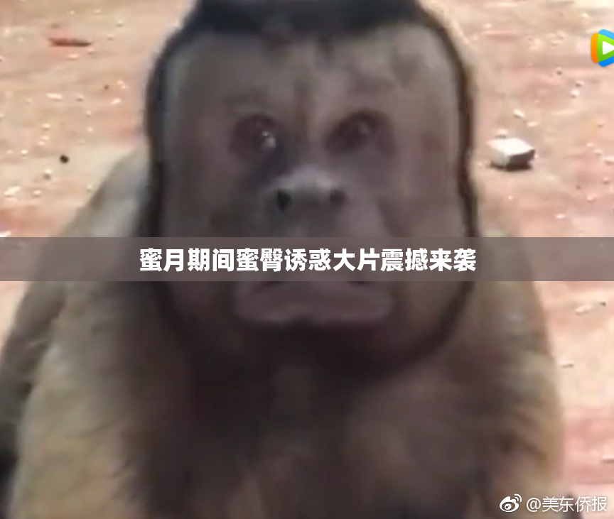 蜜月期间蜜臀诱惑大片震撼来袭