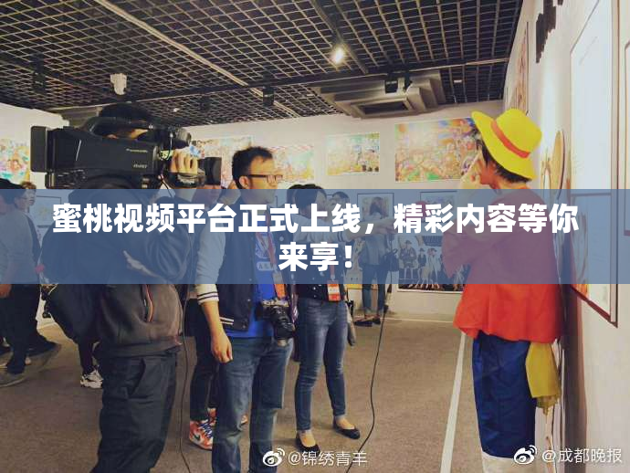 蜜桃视频平台正式上线，精彩内容等你来享！