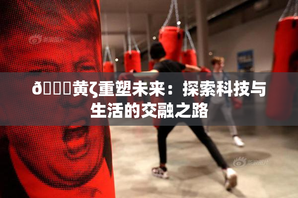 🔞黄ζ重塑未来：探索科技与生活的交融之路