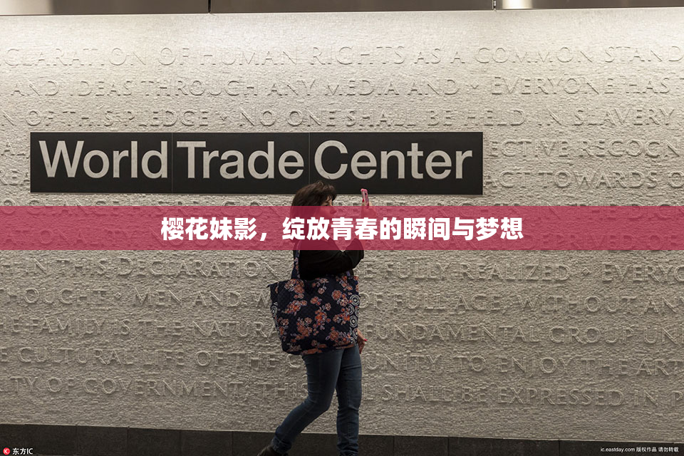 樱花妹影，绽放青春的瞬间与梦想