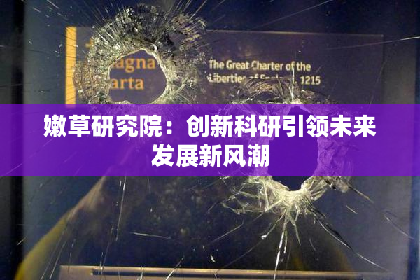 嫩草研究院：创新科研引领未来发展新风潮