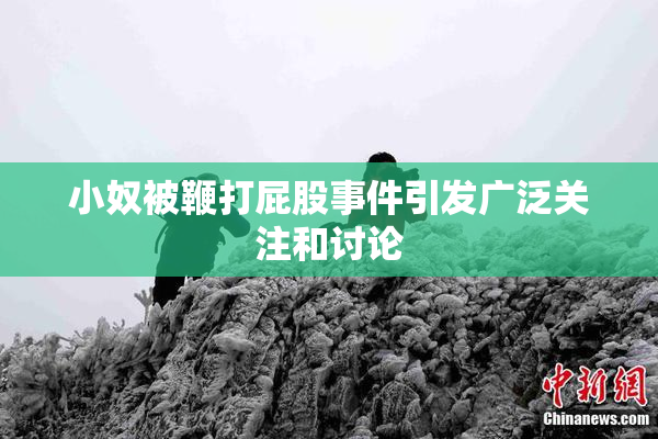 小奴被鞭打屁股事件引发广泛关注和讨论