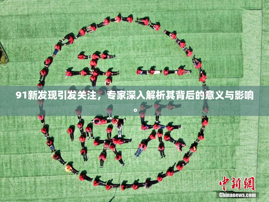 91新发现引发关注，专家深入解析其背后的意义与影响。