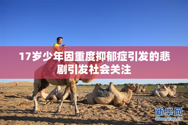 17岁少年因重度抑郁症引发的悲剧引发社会关注