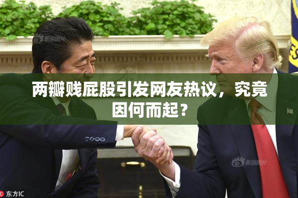 两瓣贱屁股引发网友热议，究竟因何而起？