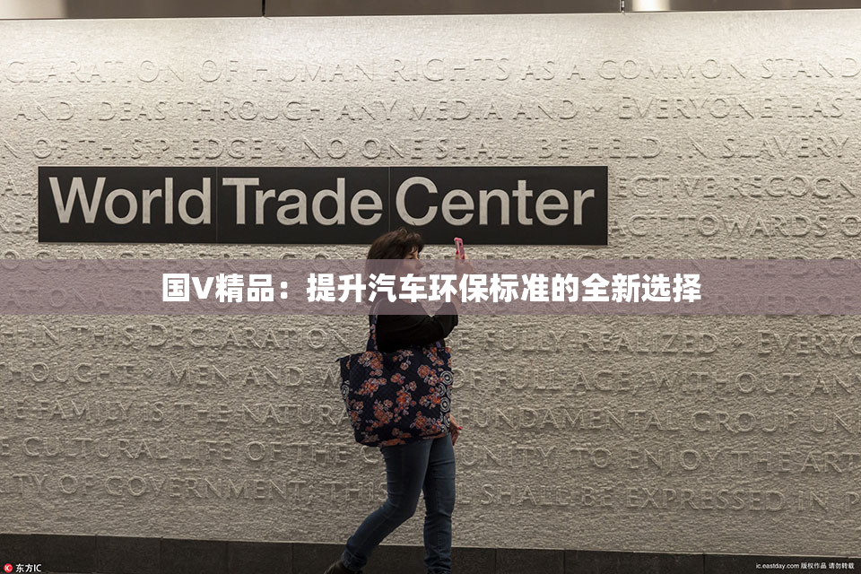 国V精品：提升汽车环保标准的全新选择