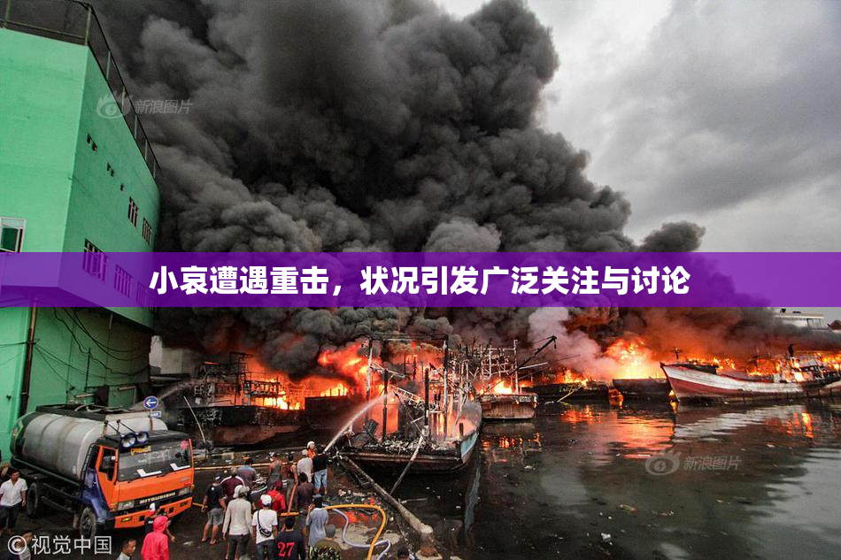 小哀遭遇重击，状况引发广泛关注与讨论