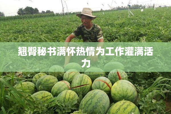翘臀秘书满怀热情为工作灌满活力