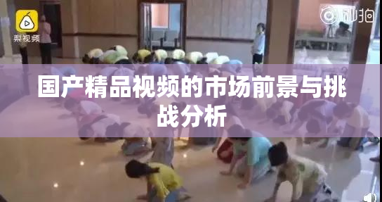 国产精品视频的市场前景与挑战分析