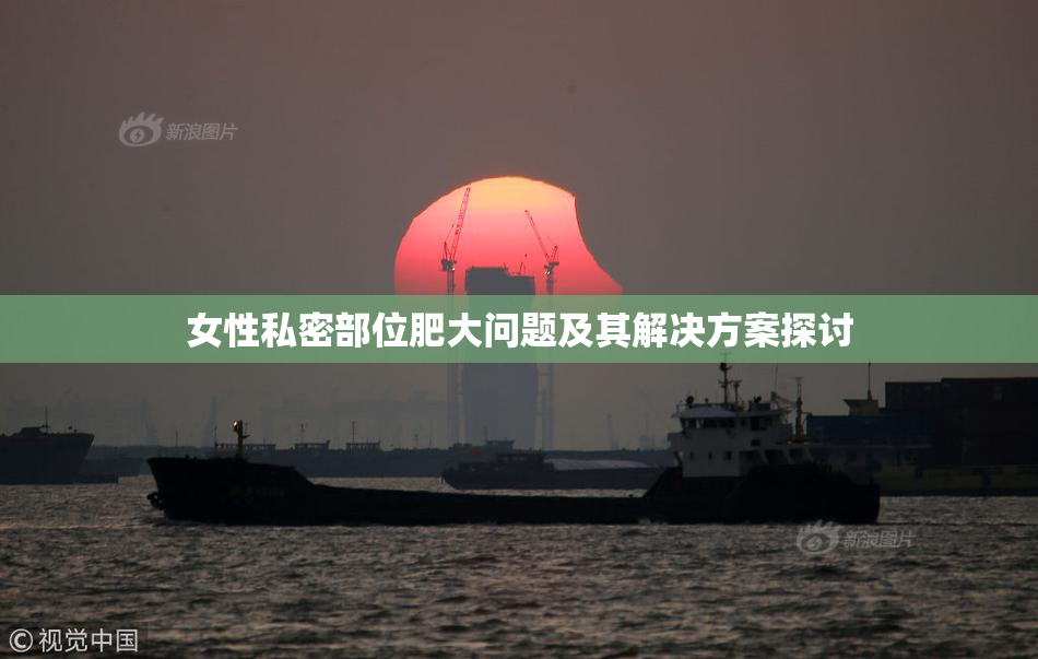 女性私密部位肥大问题及其解决方案探讨