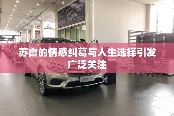 苏霞的情感纠葛与人生选择引发广泛关注