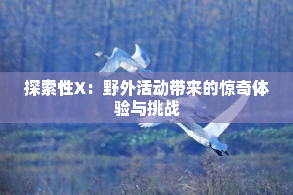 探索性X：野外活动带来的惊奇体验与挑战