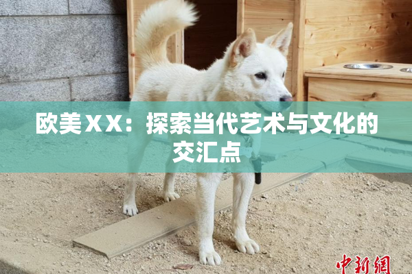 欧美ⅩX：探索当代艺术与文化的交汇点
