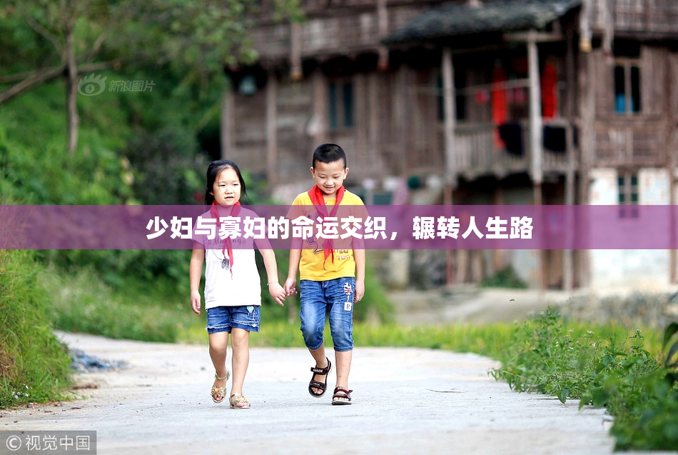 少妇与寡妇的命运交织，辗转人生路