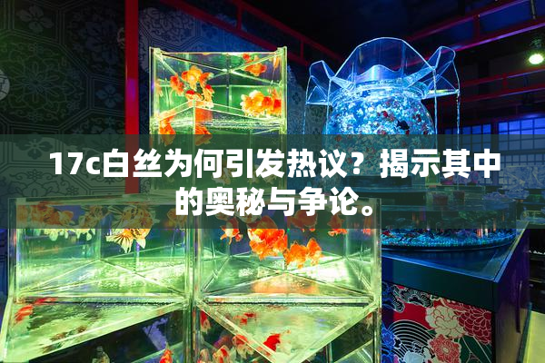 17c白丝为何引发热议？揭示其中的奥秘与争论。