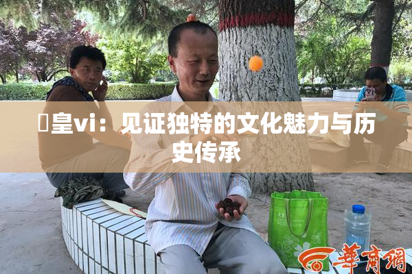 嘼皇vi：见证独特的文化魅力与历史传承