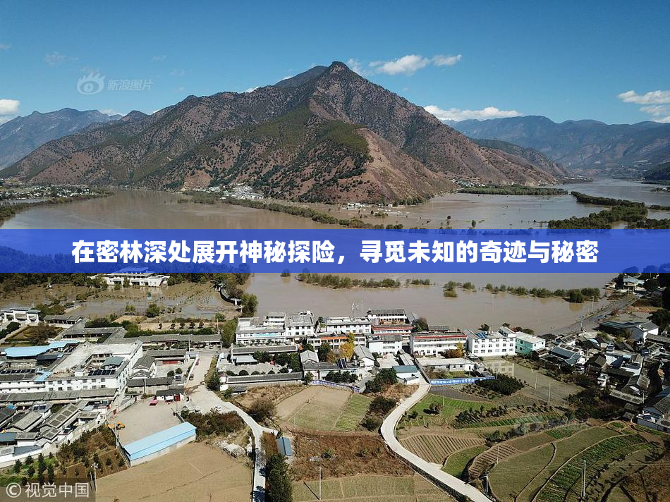 在密林深处展开神秘探险，寻觅未知的奇迹与秘密