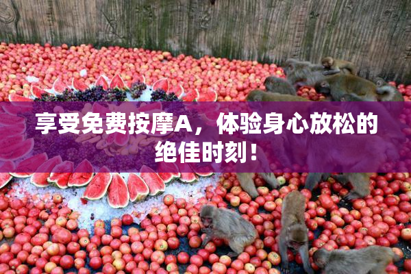 享受免费按摩A，体验身心放松的绝佳时刻！