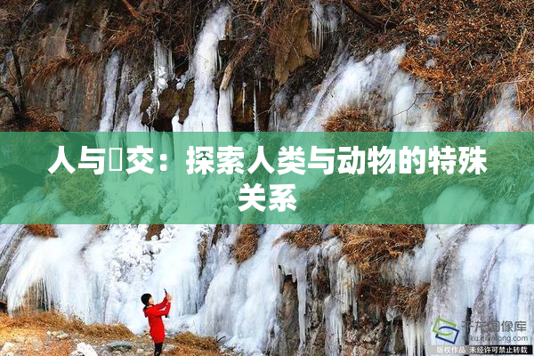 人与嘼交：探索人类与动物的特殊关系