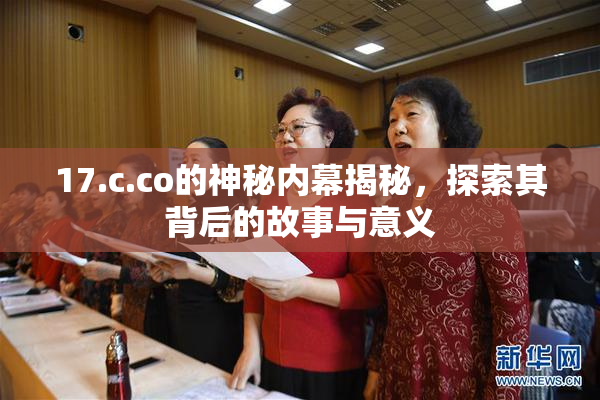 17.c.co的神秘内幕揭秘，探索其背后的故事与意义