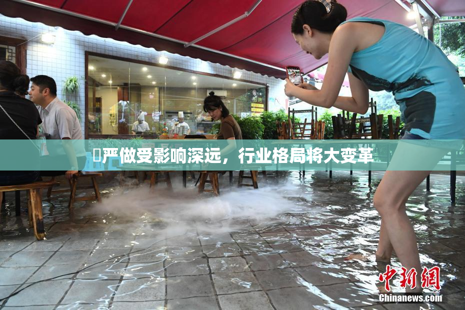 囯严做受影响深远，行业格局将大变革