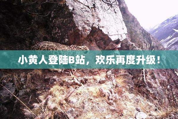 小黄人登陆B站，欢乐再度升级！