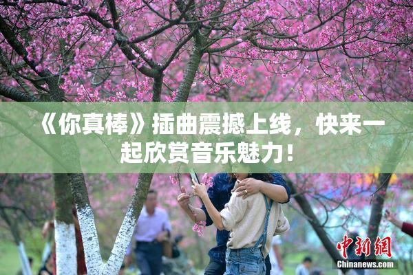 《你真棒》插曲震撼上线，快来一起欣赏音乐魅力！