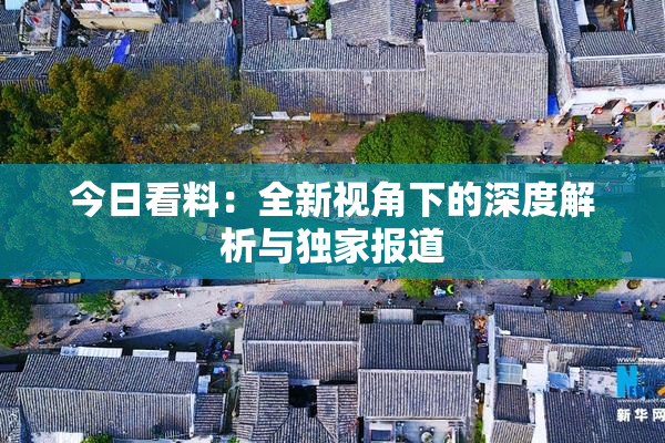 今日看料：全新视角下的深度解析与独家报道