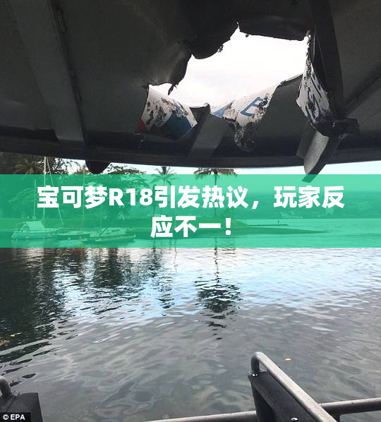 宝可梦R18引发热议，玩家反应不一！
