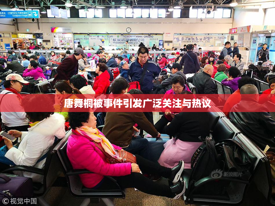 唐舞桐被事件引发广泛关注与热议