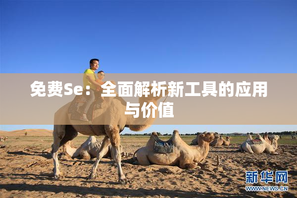 免费Se：全面解析新工具的应用与价值