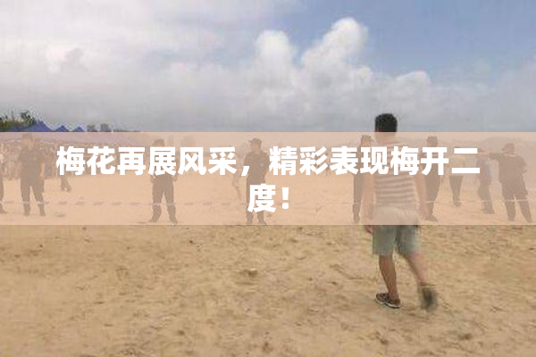 梅花再展风采，精彩表现梅开二度！