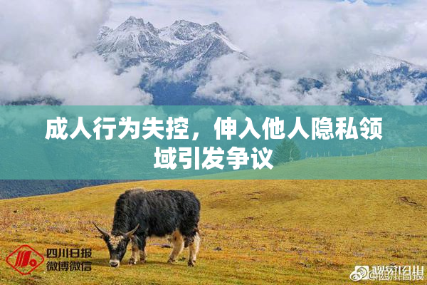 成人行为失控，伸入他人隐私领域引发争议