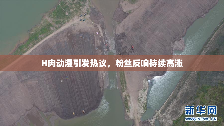 H肉动漫引发热议，粉丝反响持续高涨
