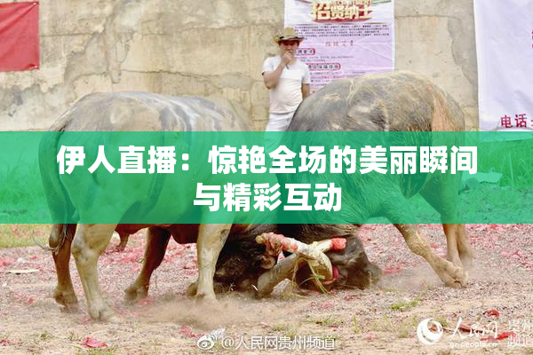 伊人直播：惊艳全场的美丽瞬间与精彩互动