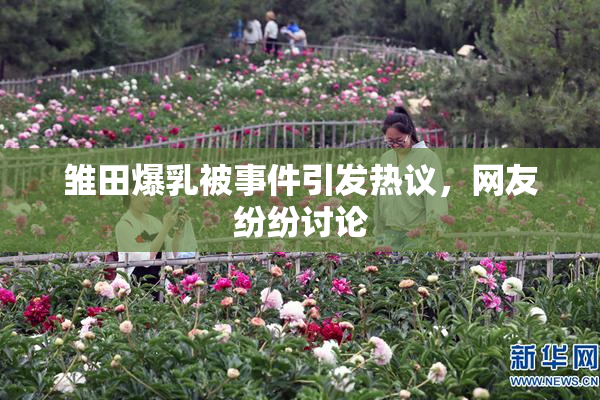 雏田爆乳被事件引发热议，网友纷纷讨论