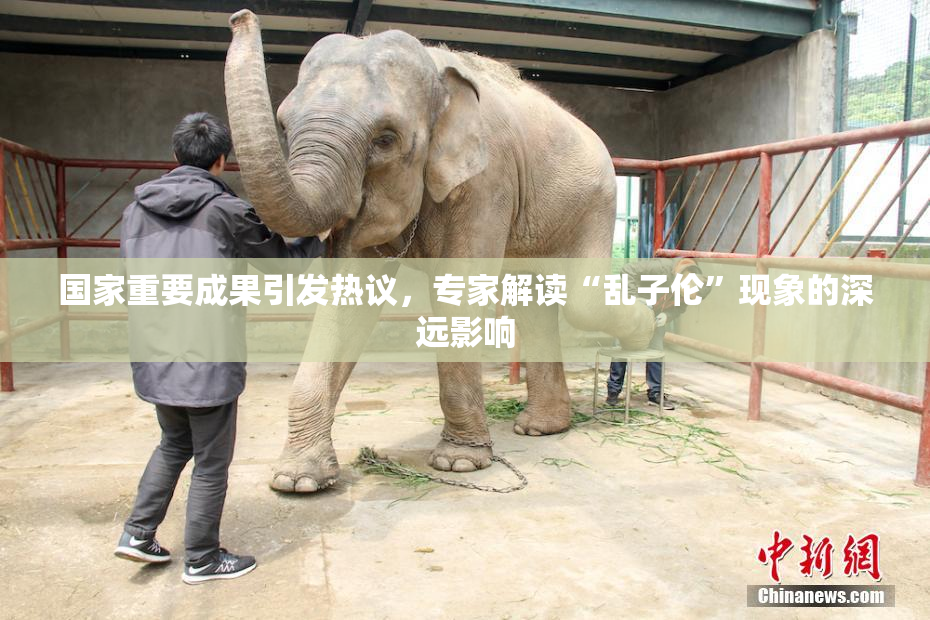 国家重要成果引发热议，专家解读“乱子伦”现象的深远影响