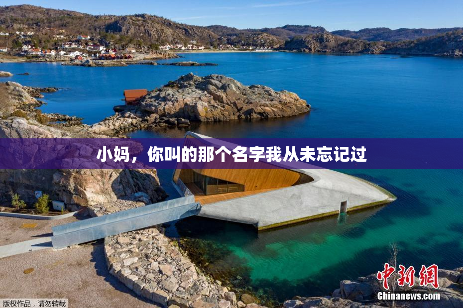 小妈，你叫的那个名字我从未忘记过