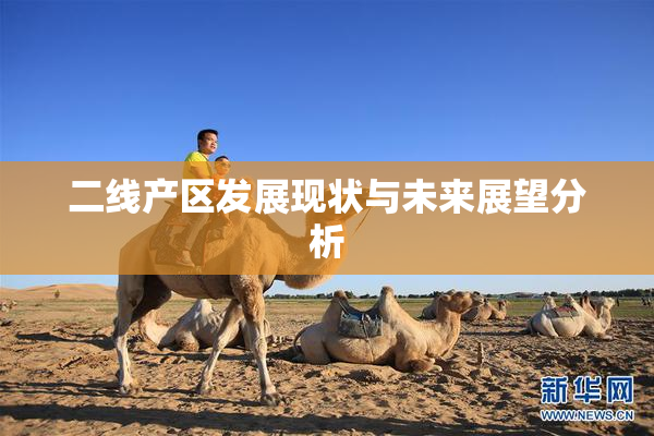 二线产区发展现状与未来展望分析