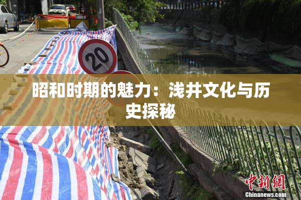 昭和时期的魅力：浅井文化与历史探秘
