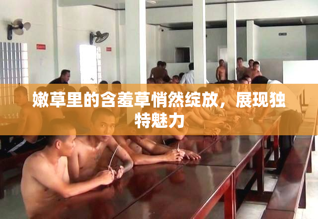 嫩草里的含羞草悄然绽放，展现独特魅力
