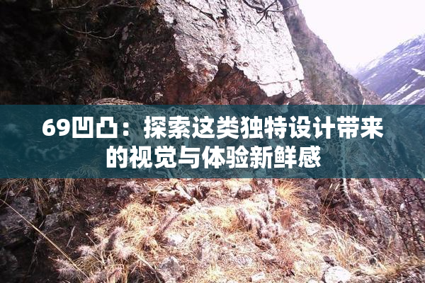 69凹凸：探索这类独特设计带来的视觉与体验新鲜感
