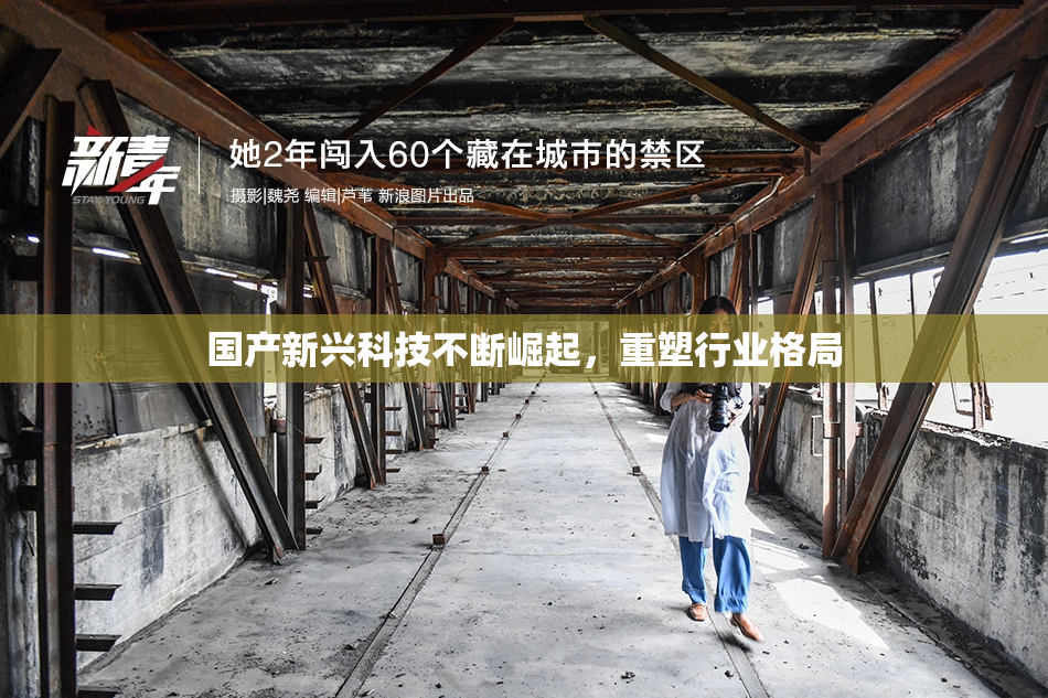 国产新兴科技不断崛起，重塑行业格局
