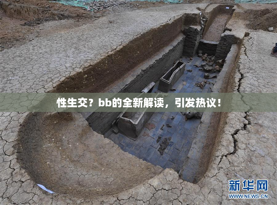 性生交？bb的全新解读，引发热议！