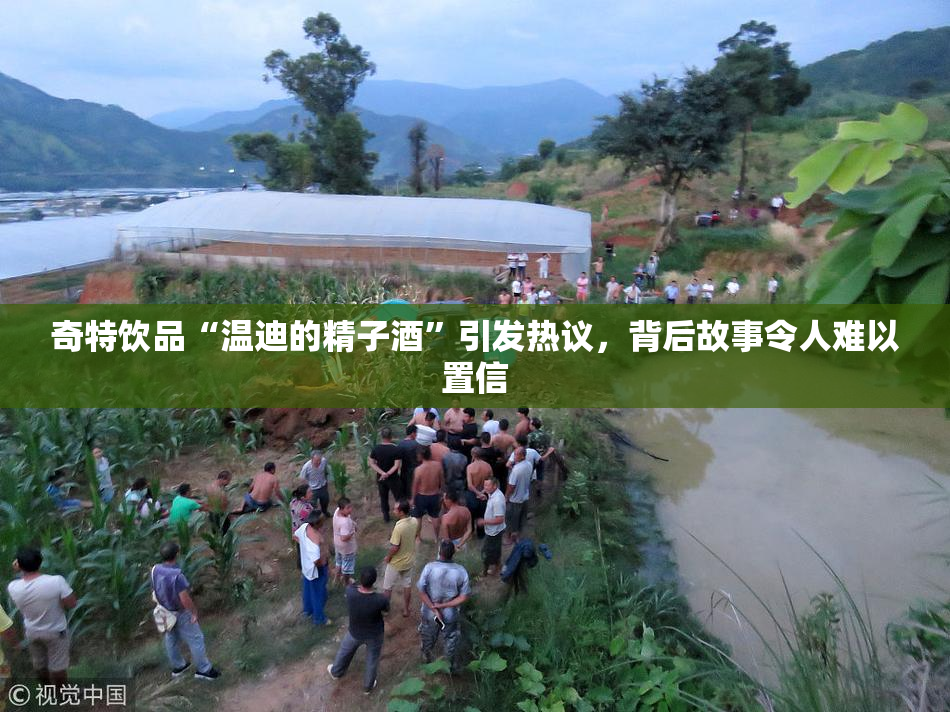 奇特饮品“温迪的精子酒”引发热议，背后故事令人难以置信