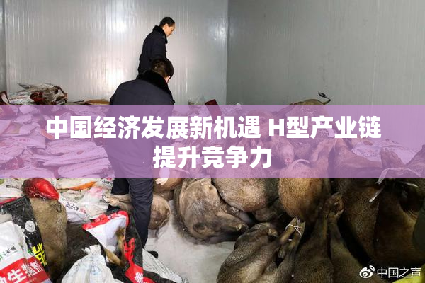 中国经济发展新机遇 H型产业链提升竞争力