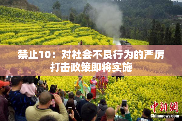 禁止10：对社会不良行为的严厉打击政策即将实施