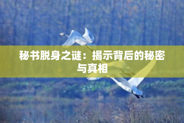 秘书脱身之谜：揭示背后的秘密与真相